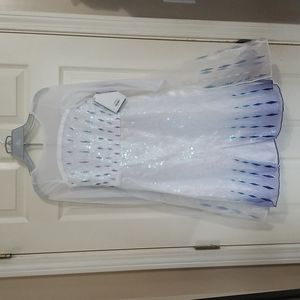 Frozen 2 Elsa Snow Queen Costume